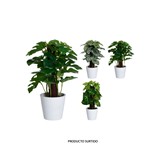 Planta artificial 25 cm en maceta blanca