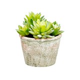 Planta artificial sedum maceta papel mache 5.75 in