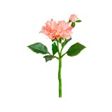 Flor artificial dalia rosada 13.5 in