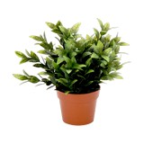 Planta artificial con maceta 15 cm