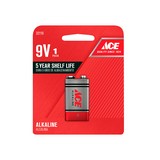 Bateria alcalina 9v