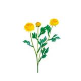 Flor artificial 20 pulg amarillo ranunculus