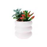 Planta artificial con maceta ceramica 14 cm surtido