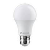 Producto imagen 1
