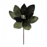 Pascua navideña 60.96 cm esmeralda
