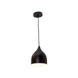 Lampara de techo negra 1l e27