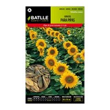 SEMILLA GIRASOL PARA PIPAS