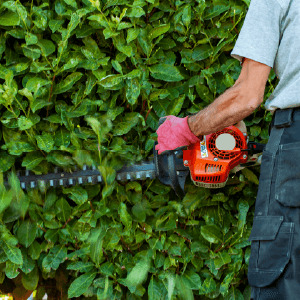 Maquinaria para jardín